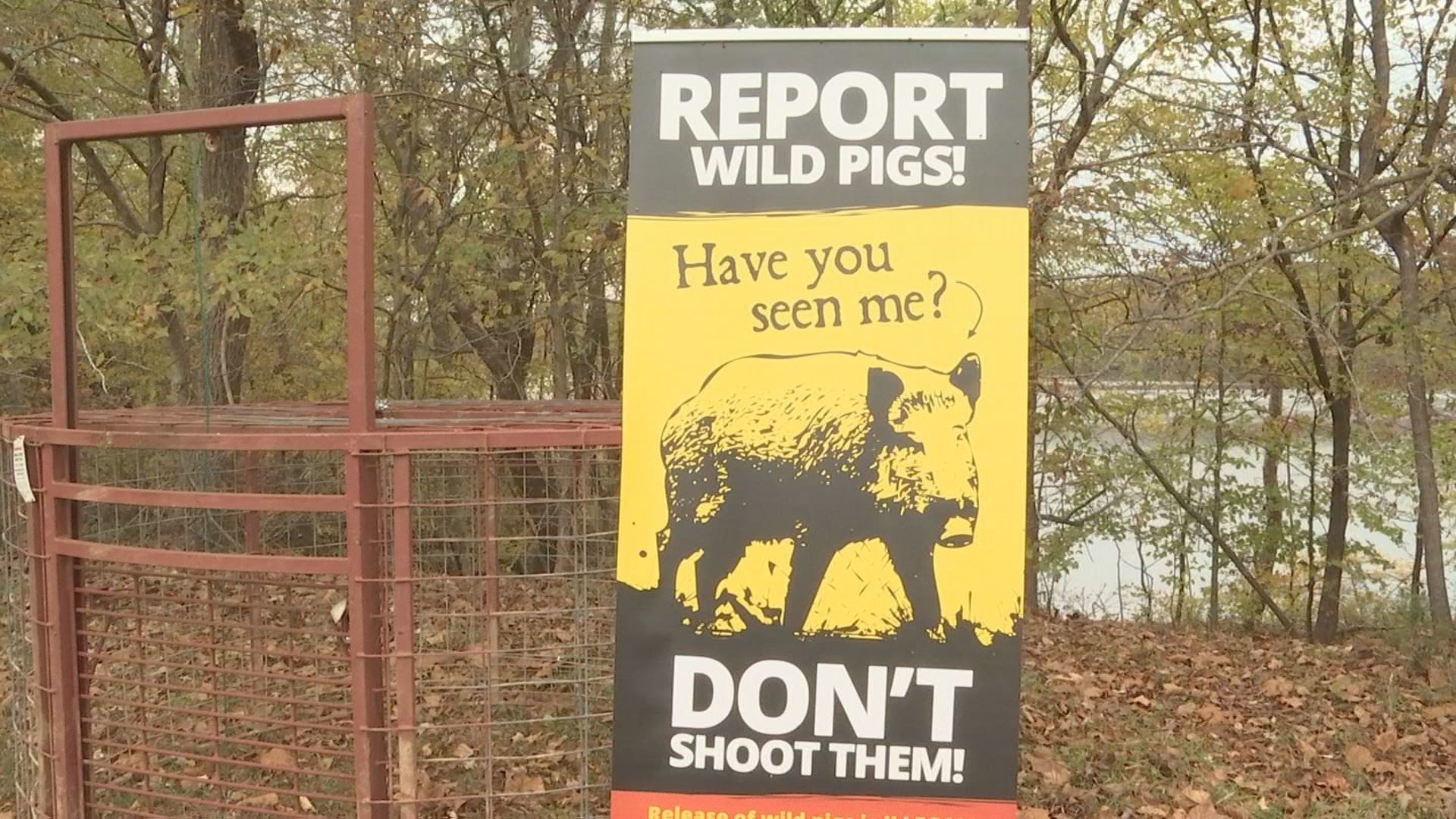 hog extermination at LBL1